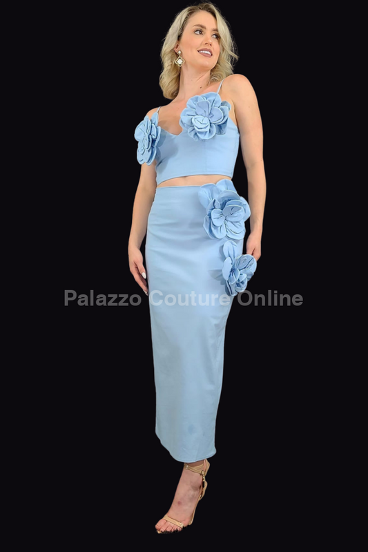 Blossom Embellished Skirt Set (Baby Blue)