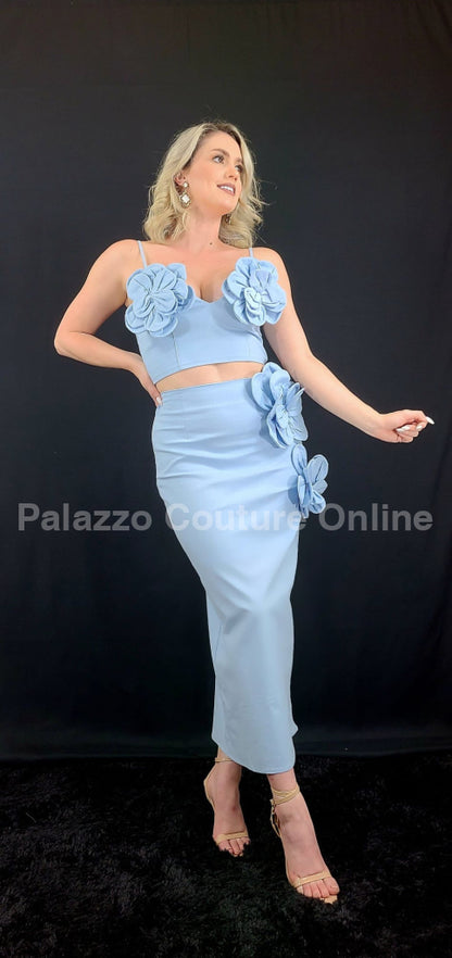 Blossom Embellished Skirt Set (Baby Blue)
