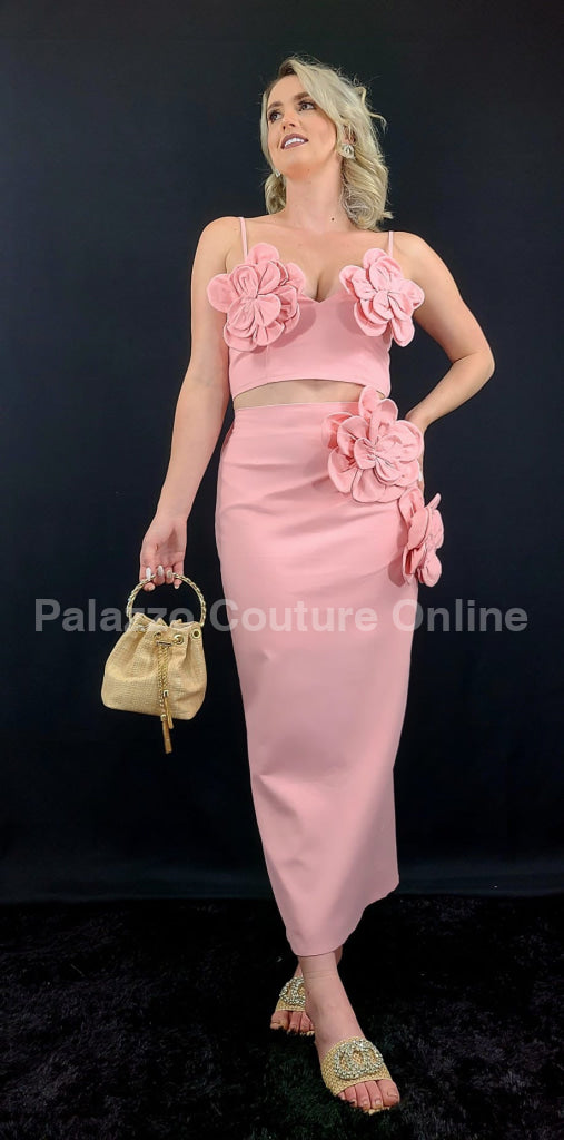 Blossom Embellished Skirt Set (Pink) Small / Pink