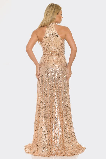 Sophia Sequin Mirror Embellished Maxi Dress ( Rose Gold)
