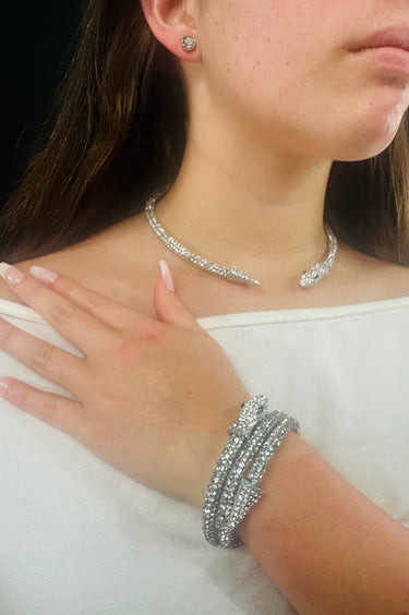 Elegant Silver Necklace Set Featuring Serpent Motif and Matching Earrings