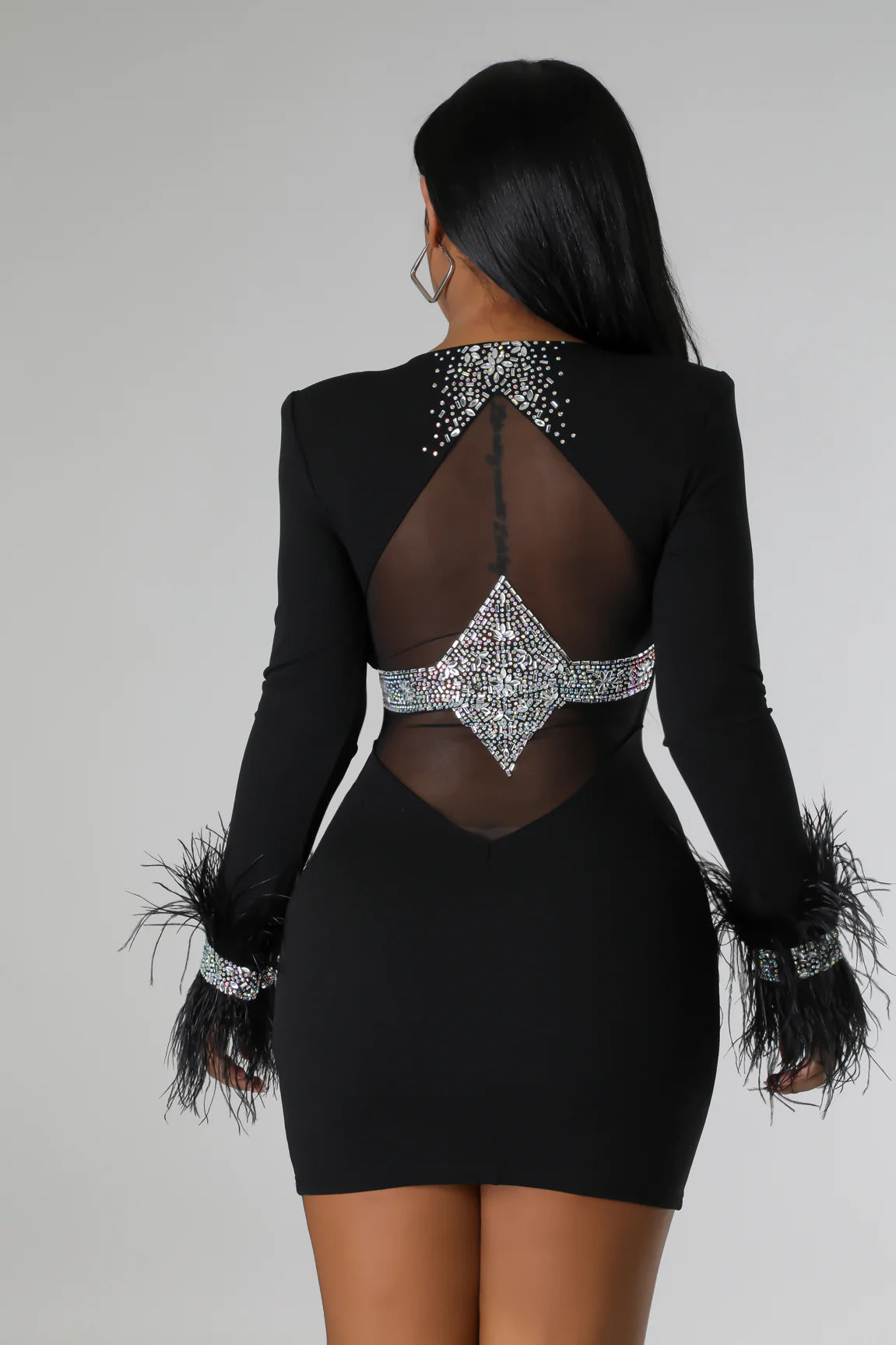 black rhinestone dress showcasing detailed rhinestone on dress patterns, feather accents on the sleeves, and an open-back design