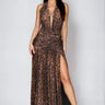 Fierce Elegance Leopard Mesh Maxi Dress front view showing full-length maxi silhouette