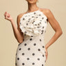 Floral Pop Polka Dot Mini Dress- Ivory/Black front view showing mini dress silhouette