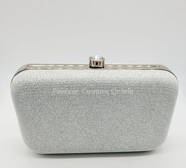Glizz Mesh Glitter Clutch silver’s - Palazzo Couture Online
