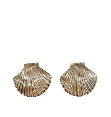 Gold shell stud earrings – minimalist beach‑inspired accessory for women