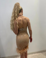 Rhinestone Feather Hem Nude Mini Dress – Bodycon Glam full body look paired with heels and accessories