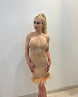 Rhinestone Feather Hem Nude Mini Dress – Bodycon Glam showing dress construction and fit details