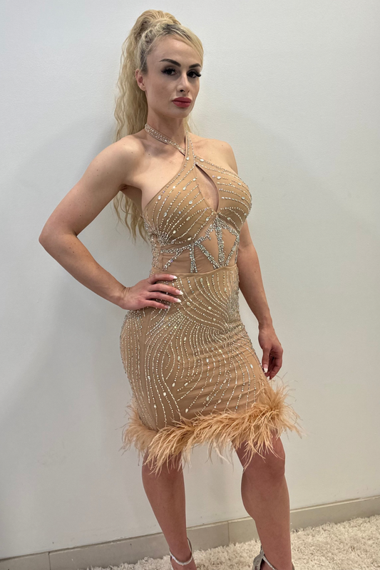 Rhinestone Feather Hem Bodycon Mini Dress (Nude)